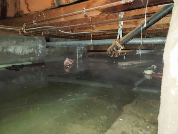 Best Flooded house restoration  in Badin, NC