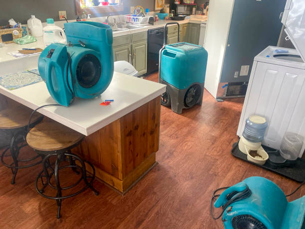 Water damage restoration experts in NC
