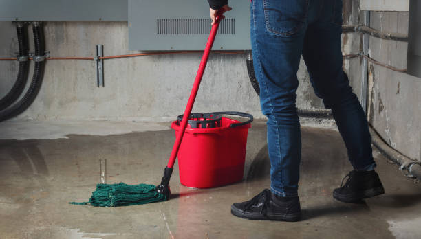 Best Ceiling water damage repair  in Badin, NC