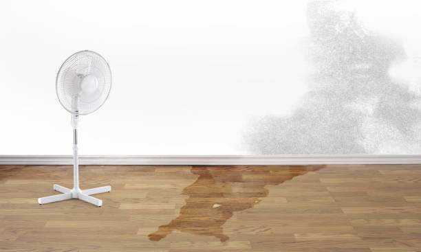 Best Water damage contractors near me  in Badin, NC